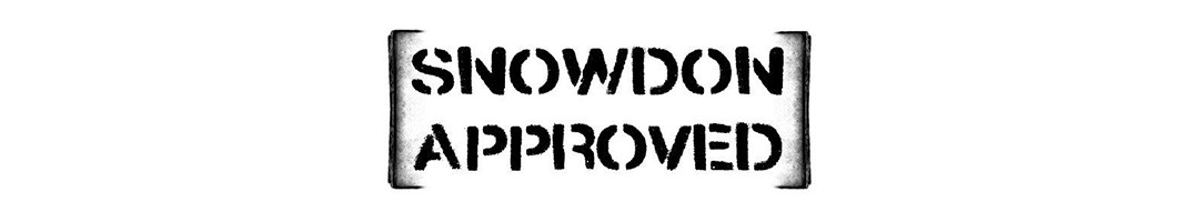 Why You Should Only Install Snowdon Approved